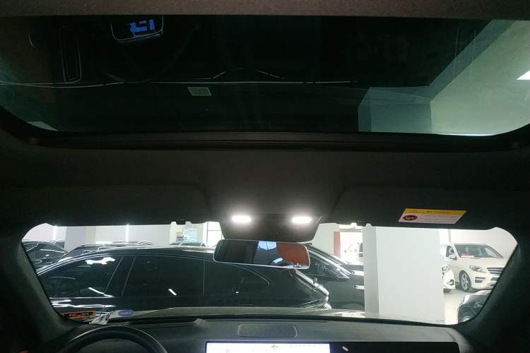 Used Li Auto L9 2024 Ultra Model Headliner