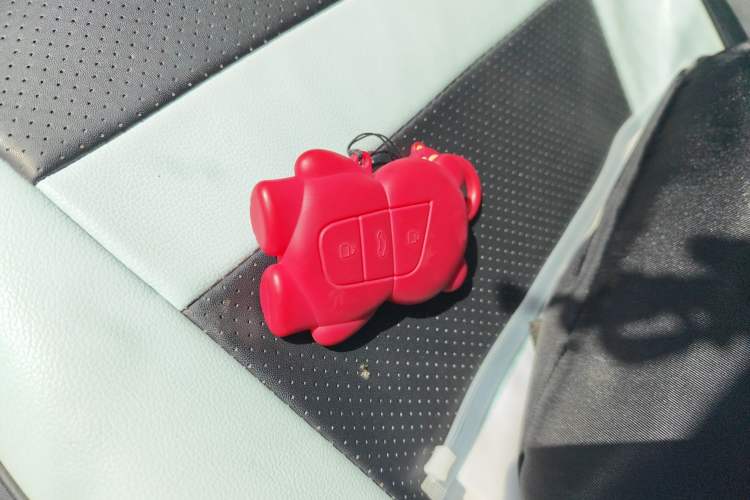 Used Chery Little Ant 2022 Sweet Pink Edition Half-Sugar Version Lithium Iron Phosphate 30 kW 301 km
