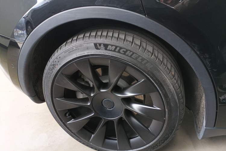 Used Tesla Model Y 2021 Standard Range Rear-Wheel Drive Version
