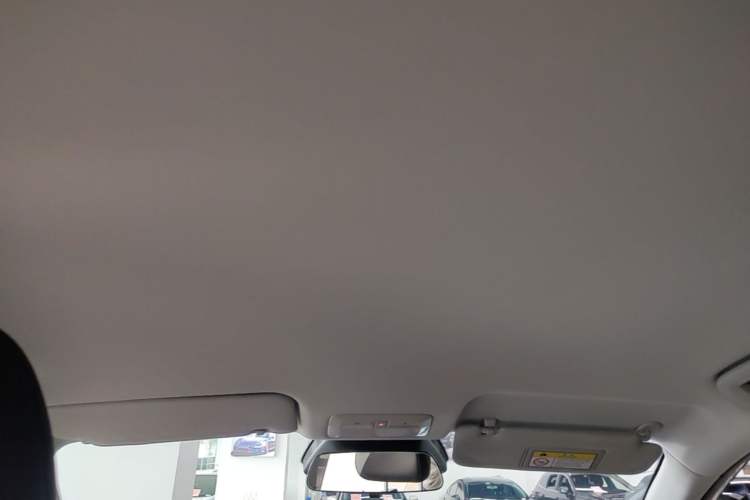 Used Baojun Yunhai 2024 500km Pure Electric Version Headliner