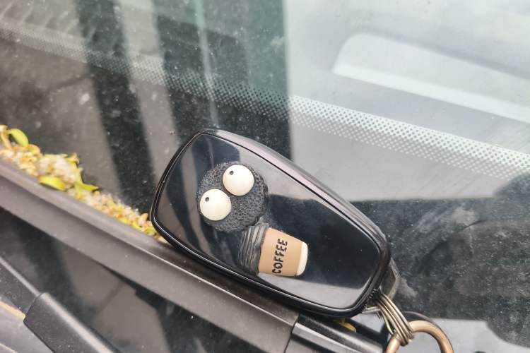 Used CHANGAN CS75 PLUS 2024 3rd Generation Champion Edition 2.0T Intelligent Drive Performance Model