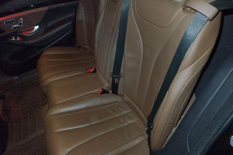 Used Mercedes-Benz S-Class 2019 S 350 L Executive Edition Left Rear Seat