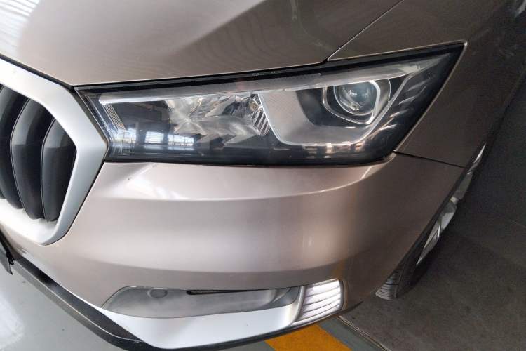 Used BORGWARD BX5 2017 20TGDI Automatic Two-Wheel Drive Pioneer Edition
