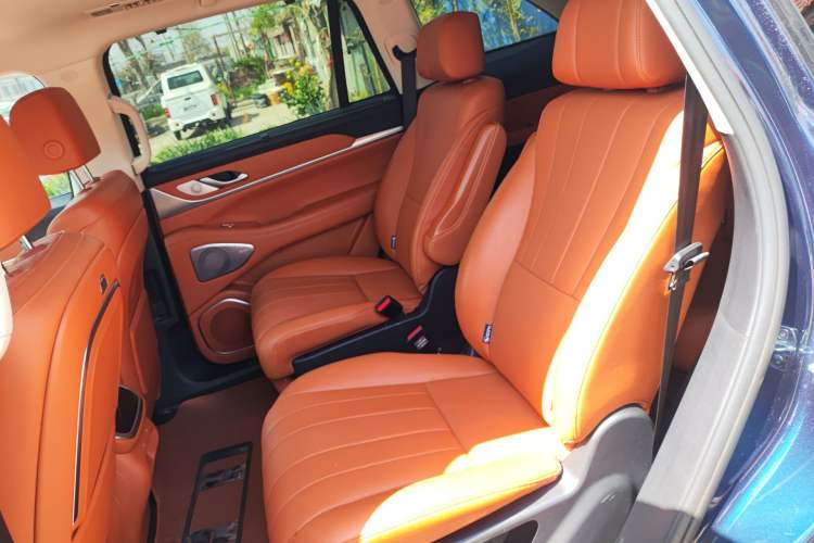 Used Wey Lanshan 2025 Four-Wheel Drive Max Left Rear Seat