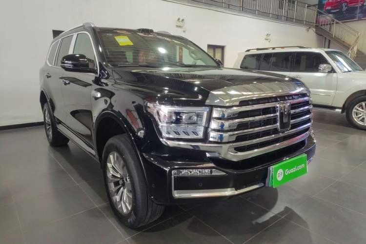 Used Tank 500 New Energy 2026 Model—Hi4-T Smart Enjoyment Version