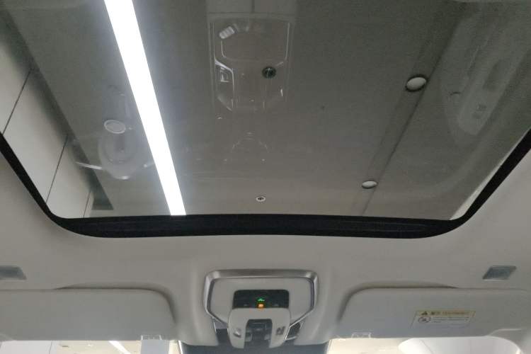 Used Hongqi E-HS9 2021 460 km Range Flagship Edition Six-Seater