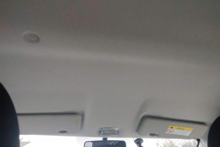 Used Dongfeng NAMMI EX1 2023 PRO Light Wind Edition Lightning Model Headliner