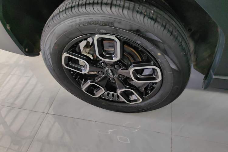 Used Haval X DOG 2022 1.5T DCT Four-Wheel Drive Trendy Wild Edition
