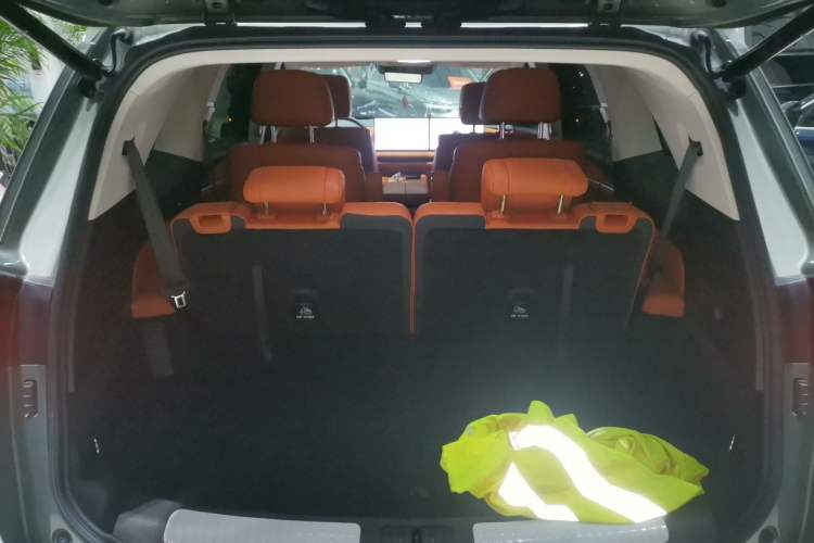 Used Wey Lanshan 2025 Four-Wheel Drive Max
