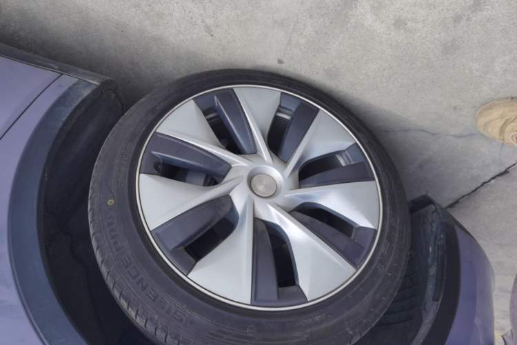 Used Tesla Model Y 2022 Rear-Wheel-Drive Version