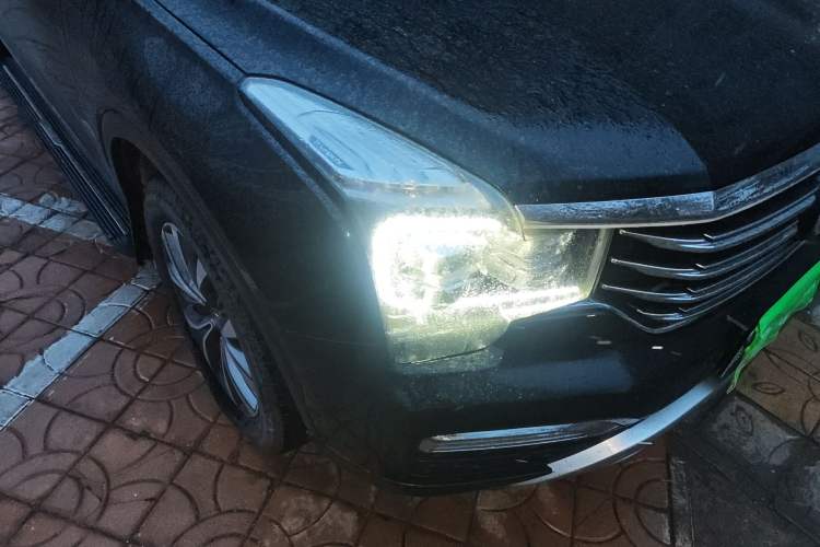 Used GAC Trumpchi GS8 2017 320T Two-Wheel Drive Luxury Smart Connectivity Version (7 Seats)
