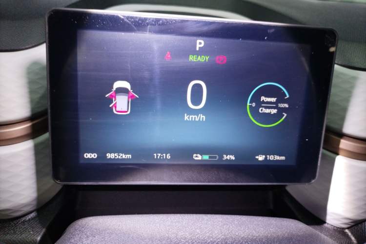 Used SOL E10X 2022 Flower Fairy Design Dandelion