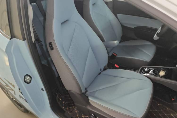 Used Chery Little Ant 2023 251km True Love Edition Lithium Iron Phosphate