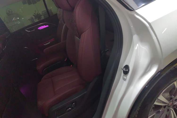 Used Hongqi E-HS9 2021 510 km Range Flagway Edition Six Seats Left Rear Seat