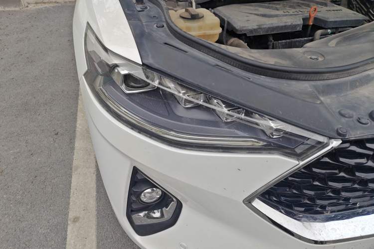 Used Haval F7x 2019 1.5T Two-Wheel Drive Intelligent Technology Edition
