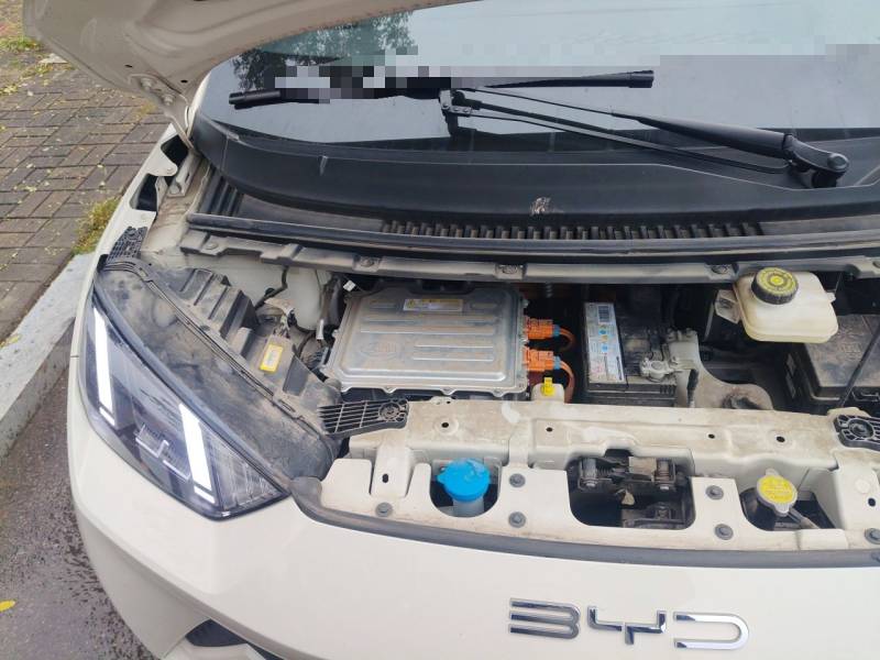 Used BYD Seagull 2023 Free Edition — 22