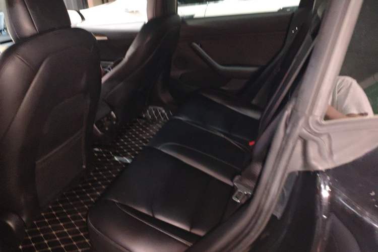 Used Tesla Model 3 2022 Rear-Wheel-Drive Version
