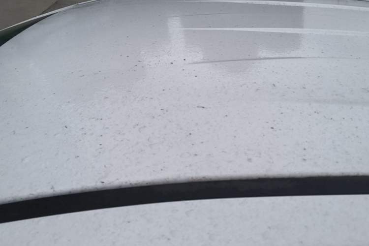 Used Bestune NAT 2023 PRO Enjoy Travel Edition 425km
