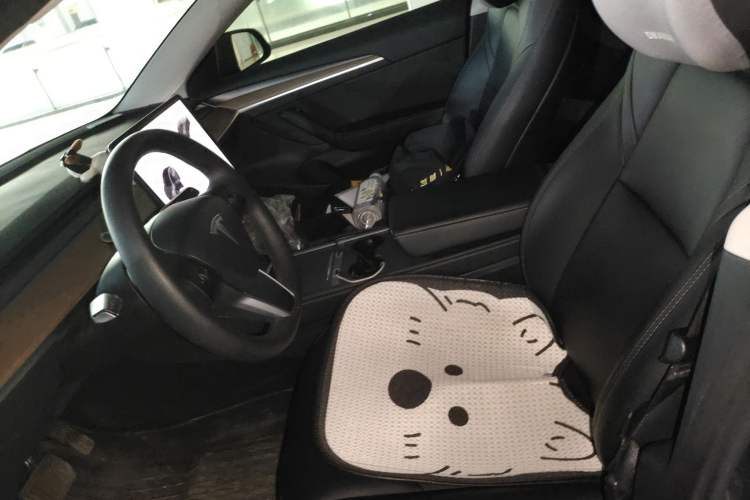 Used Tesla Model 3 2022 Rear-Wheel-Drive Version Left Front Seat