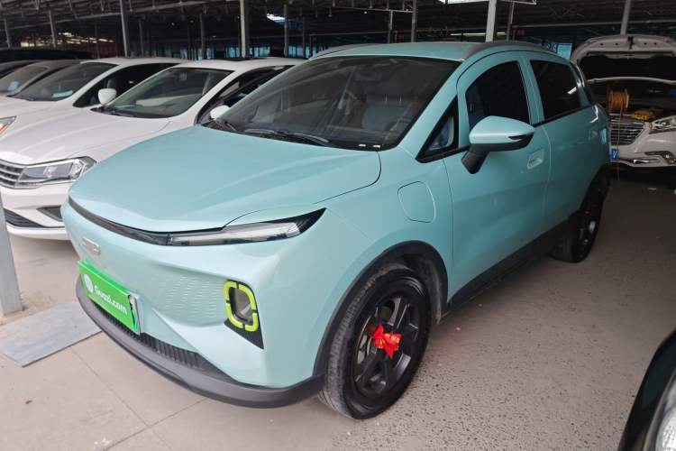 Used Geometry E Firefly 2022 320KM Cute Tiger 4-Seater