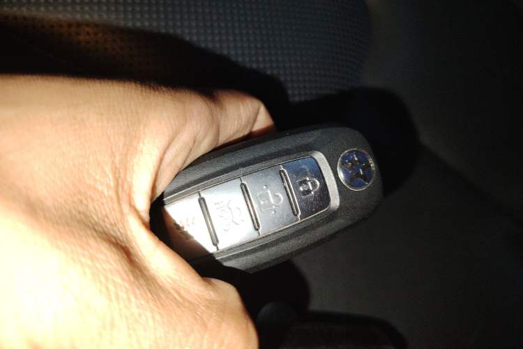 Used Venucia D60EV 2020 Standard Range Comfort Edition
