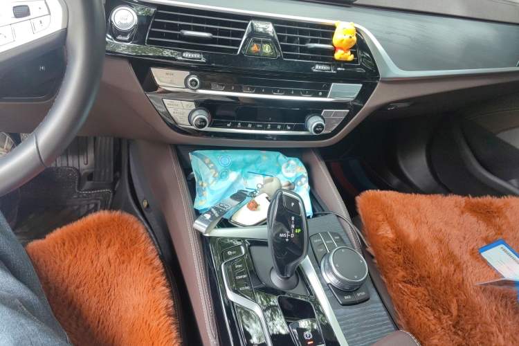 Used BMW 5 Series 2023 530Li Leading Model M Sport Package
