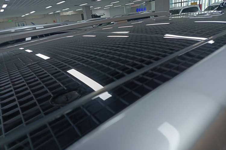 Used Tank 500 New Energy 2023 Hi4-T Roof