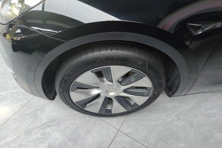 Used Tesla Model Y 2021 Standard Range Rear-Wheel Drive Version
