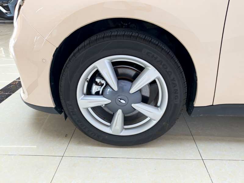 Used ORA Good Cat 2025 Model, 430 km Prestige Version — 22