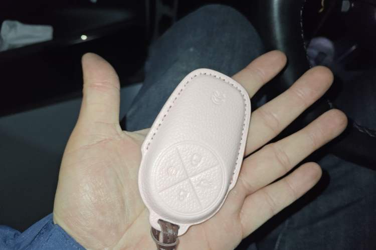 Used Nio ES8 2020 415 km Range 6-Seater Version
