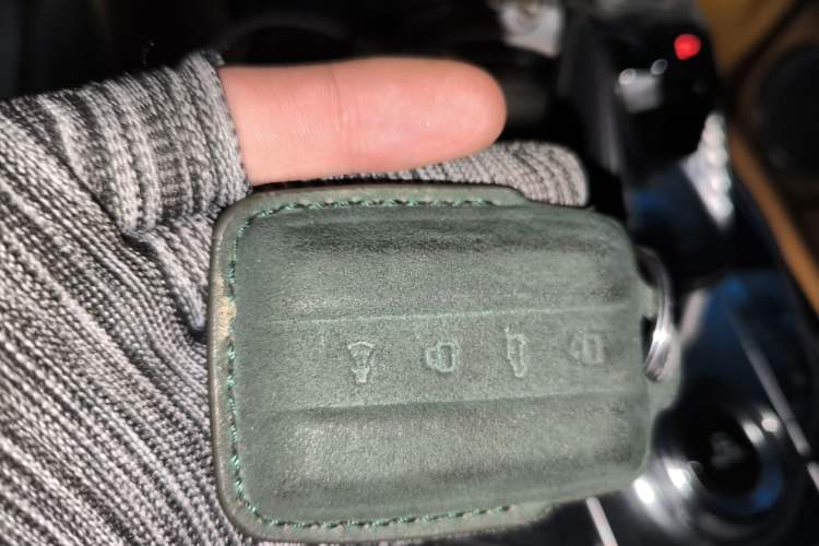 Used Tank 500 New Energy 2024 Hi4-T