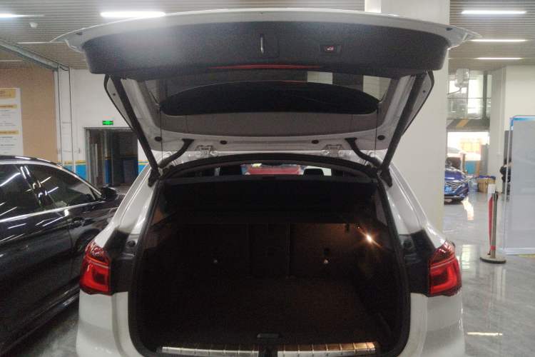 Used BMW X1 2019 sDrive20Li Leading Model Trunk