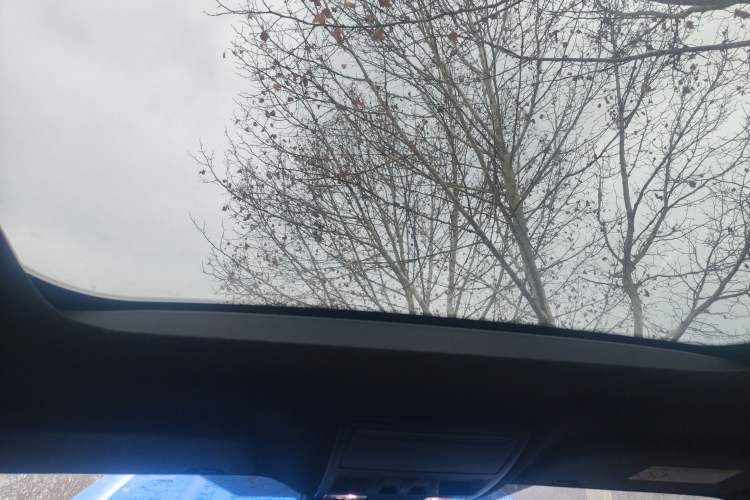 Used Ford Focus 2020 Sedan EcoBoost 180 Automatic ST Line