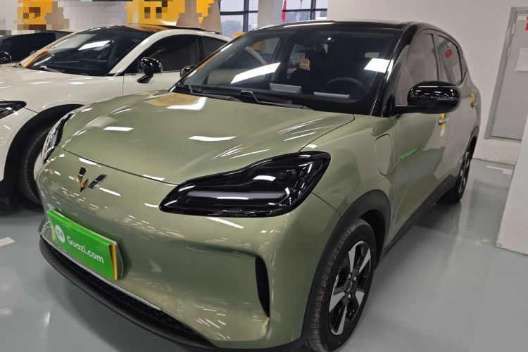 Used Wuling Bingo PLUS 2024 510 km Flagship Edition Four-Seater Version