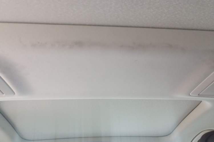 Used BMW 5 Series 2020 530Li Luxury Edition Premium Package Headliner