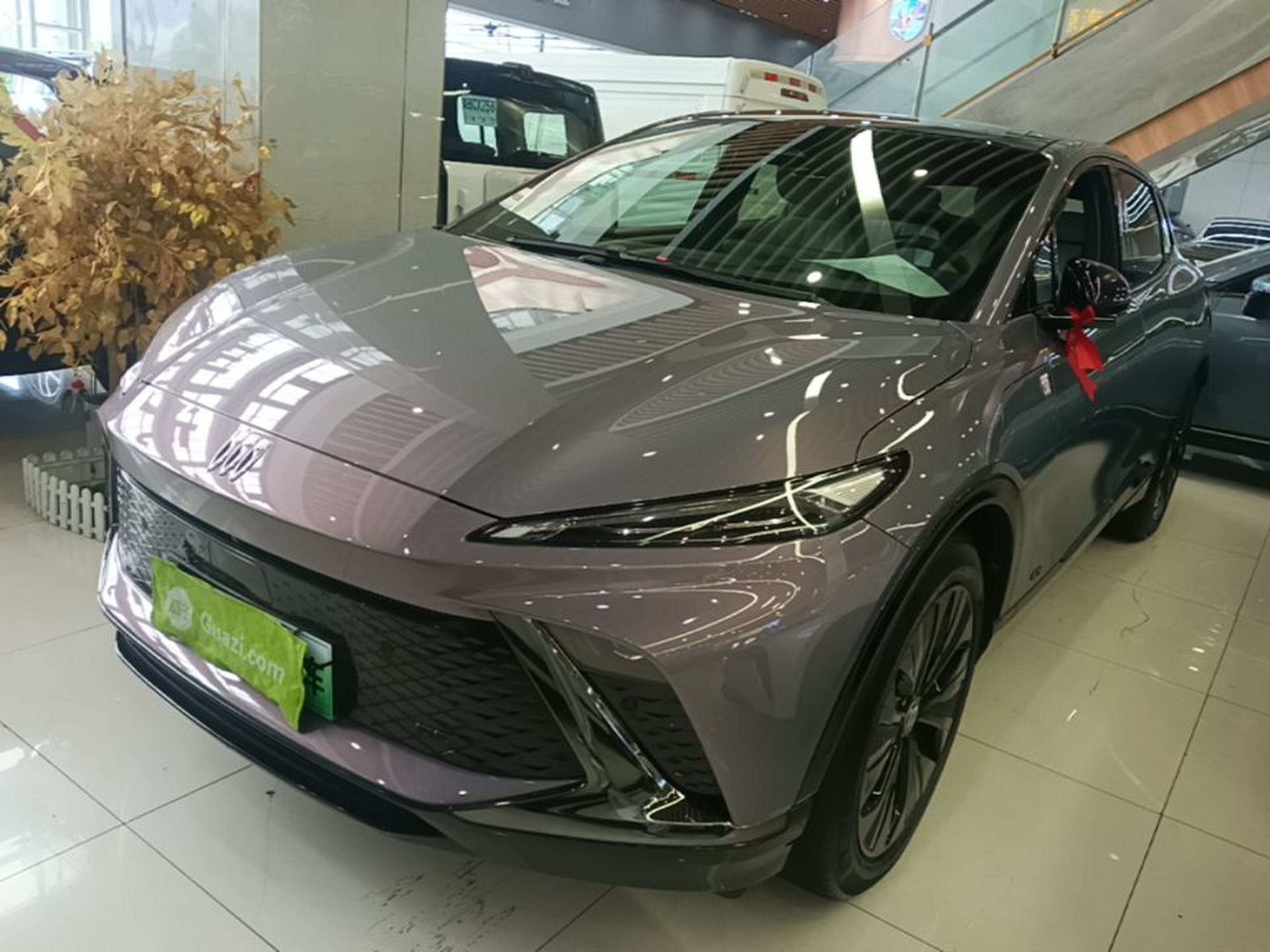 Under Front Bumper