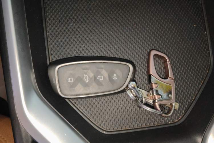 Used Haval H5 2025 2.0T Automatic All-Wheel Drive Navigation Version Diesel