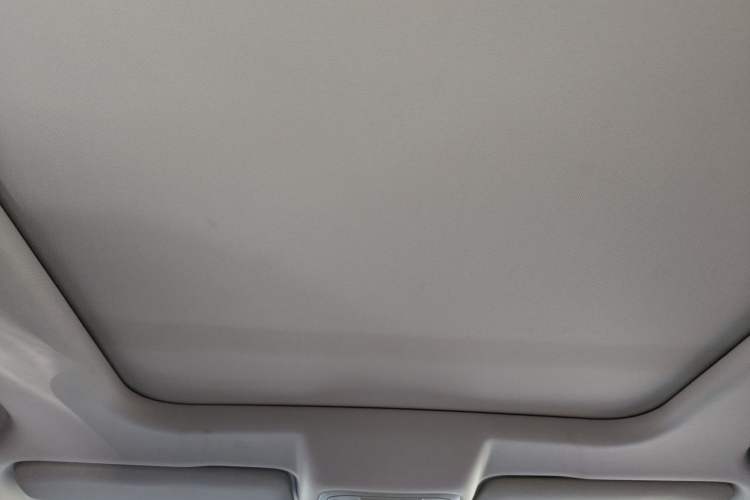 Used Haval DARGO 2021 1.5T DCT Two-Wheel Drive Border Collie Edition Headliner