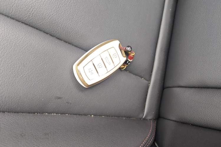 Used Haval H6 Coupe 2019 1.5T Automatic Two-Wheel Drive Elite Version China VI Standard