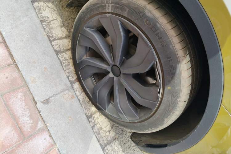 Used Tesla Model Y 2023 Rear-Wheel-Drive Version
