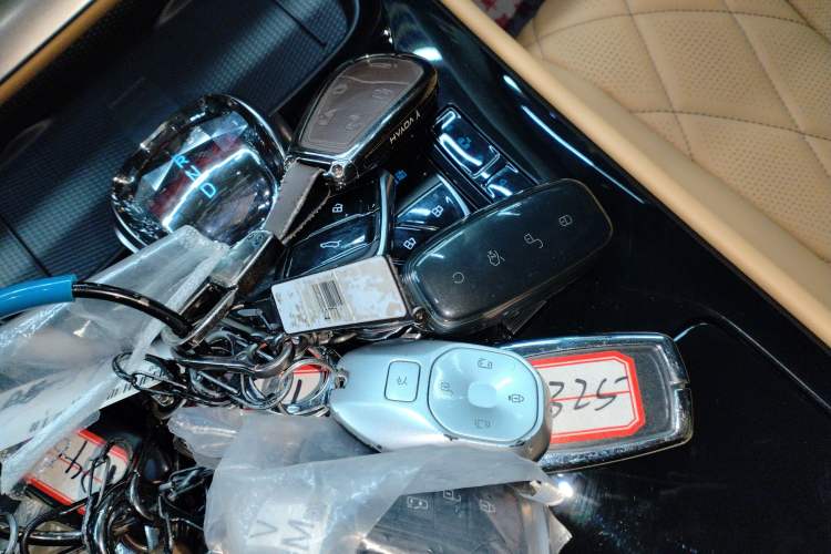 Used Denza D9 2024 DM-i 1050 Luxury Model Vehicle Key