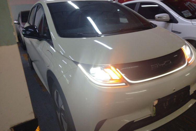Used BYD Dolphin 2023 420 km Free Version Front Right 45 Deg