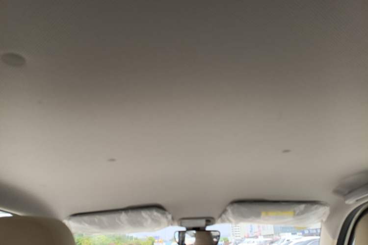 Used Wuling Hongguang MINIEV 2024 3rd Generation 215km Youth Edition Headliner