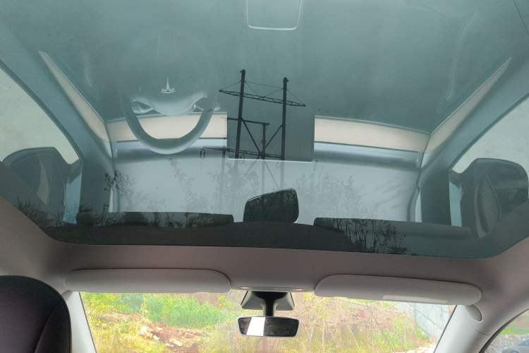 Used Tesla Model Y 2021 Standard Range Rear-Wheel Drive Version Headliner