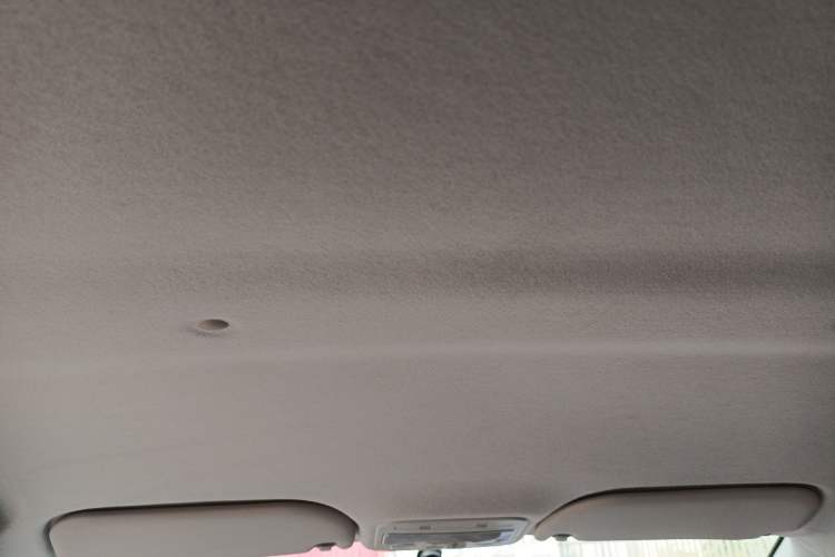 Used SOL E10X 2022 Flower Fairy Design Four-Leaf Clover Headliner