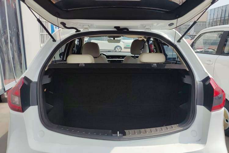 Used Livan Maple 30X 2020 Style Edition
