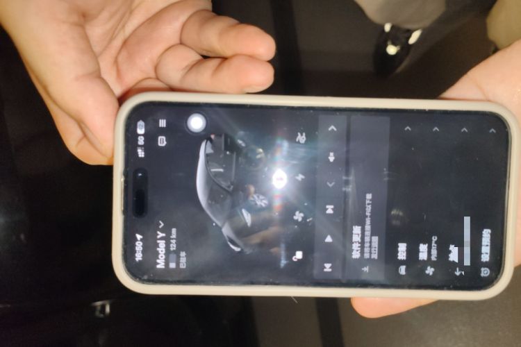 Used Tesla Model Y 2022 Rear-Wheel-Drive Version
