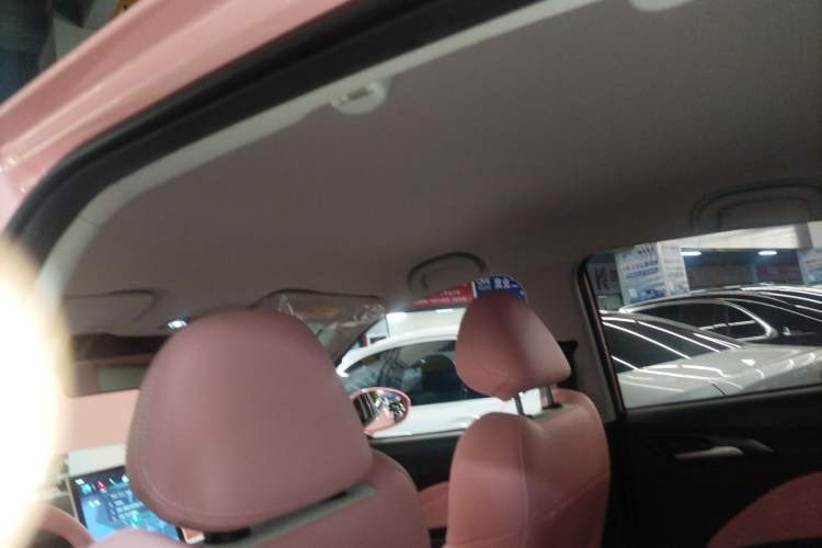 Used NETA V 2022 Chao 400 Lite Pink Custom Edition Headliner