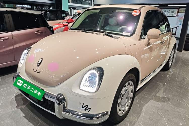 Used ORA Ballet Cat 2023 401 km Luxury Version