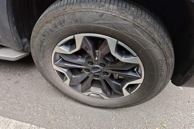 Used Haval DARGO 2021 2.0T DCT 4x4 Chinese Rural Dog Edition
